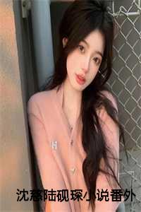 沈慈陆砚琛小说番外