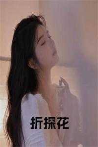折探花正版无弹窗