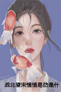 战北望宋惜惜易防是什么小说