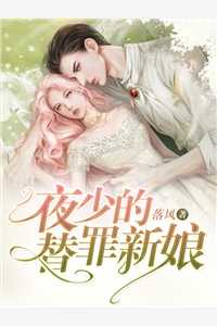 夜少的替罪新娘