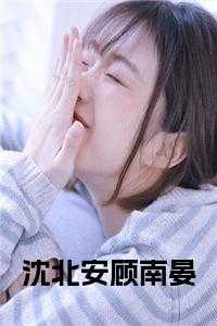 沈北安顾南晏小说名字