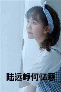 陆远峥何忆慈小说