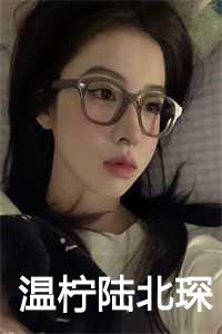 温柠陆北琛