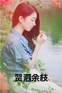 贺泗余枝小说
