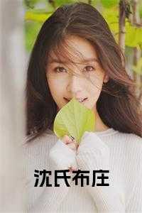 沈氏布庄全文