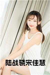陆战骁宋佳慧阅读完整