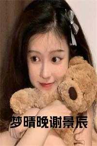 梦晴晚谢景辰小说