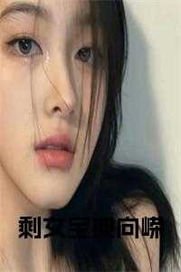 剩女宝典向嵘在线小说