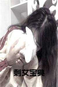 剩女宝典后续阅读