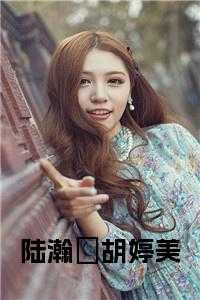 陆瀚湳胡婷美小说