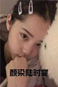 颜染陆时宴完结