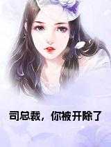 司总裁，你被开除了全文下载