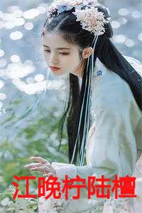 江晚柠陆檀