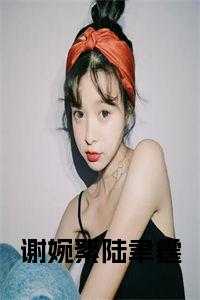 谢婉絮陆聿霆小说阅读