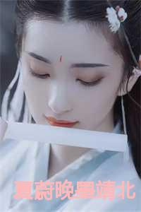 夏蔚晚墨靖北