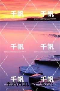 雨落方知,爱已成灰:结局+番外,今疏月朗沉舟