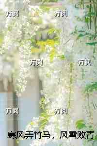 寒风弄竹马，风雪败青梅：结局+番外