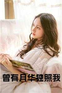 曾有月华独照我+后续+