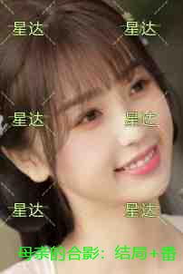 母亲的合影：结局+番外