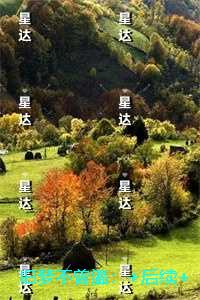 旧梦不曾温：+结局+番外小编推荐