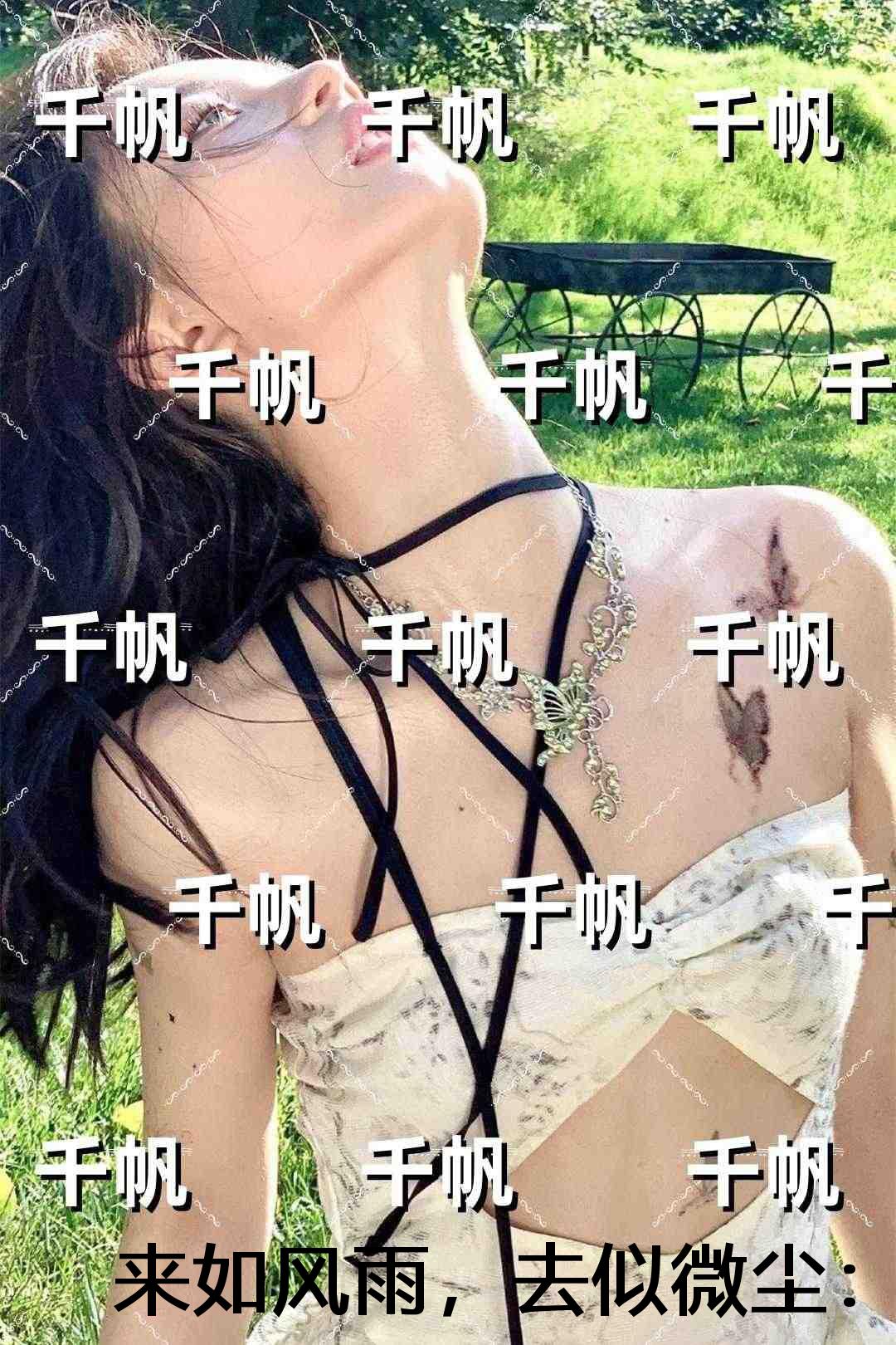 来如风雨，去似微尘：已完结版