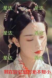 我在回忆里万劫不复小说：+结局+番外