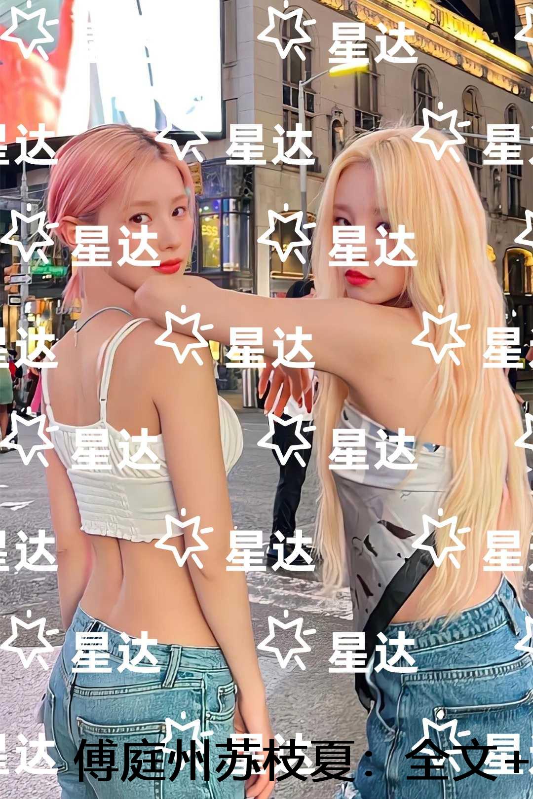 傅庭州苏枝夏：结局+番外高口碑