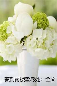 春到南楼雪尽处:反转剧情试读