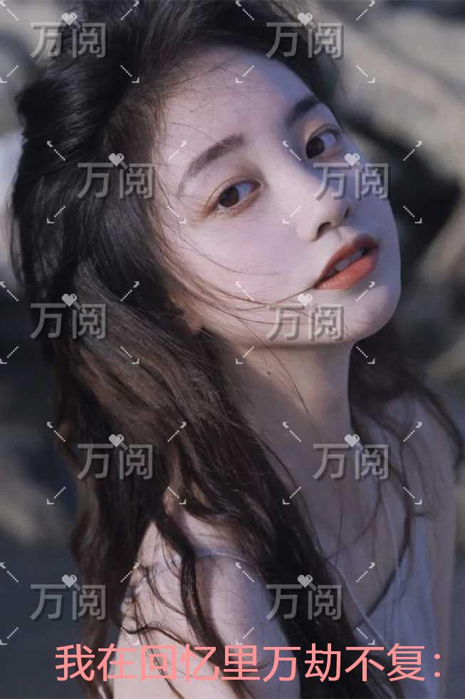 我在回忆里万劫不复：+番外+全文