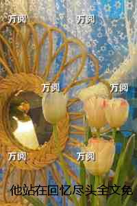 他站在回忆尽头全文免费：结局+番外