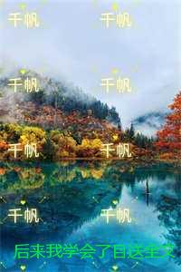 后来我学会了目送节选试读