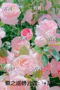 夏之遥傅云霆：章节试读