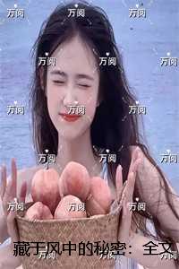 藏于风中的秘密：全章节阅读