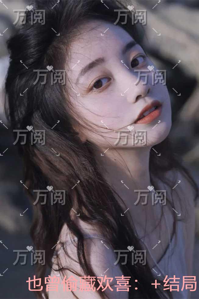也曾偷藏欢喜：+结局+番外