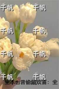 也曾偷藏欢喜：未删减