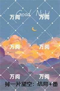 捧一片星空：结局+番外,林溪傅迟宴