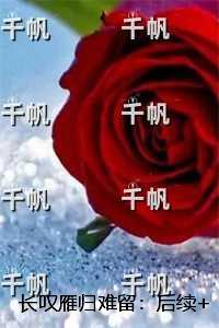 长叹雁归难留：完整版