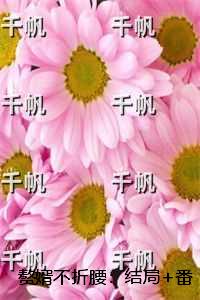 赘婿不折腰：结局番外