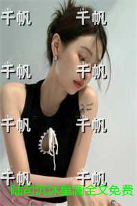 陆司沉沐星澜全文免费阅读