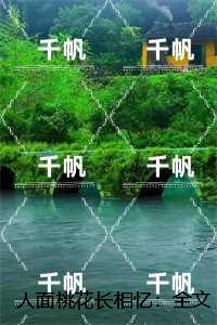 人面桃花长相忆：全文+后续,阮雾梨闻砚辞