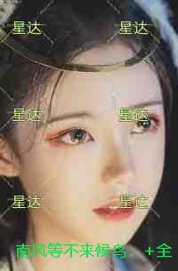 南风等不来候鸟：+全文+后续
