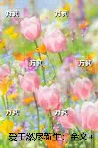 爱于燃尽新生：全文+后续+结局