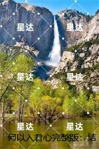 何以入君心完整版：结局+番外