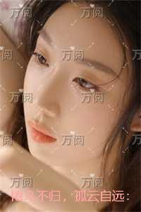 倦鸟不归，孤云自远：结局+番外