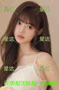 许思梨沈辞越：余温散尽时：全文+后续