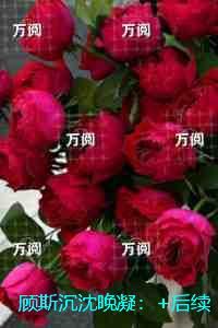 顾斯沉沈晚凝：+后续+结局