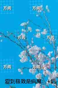 爱到极致是疯魔：+后续+结局
