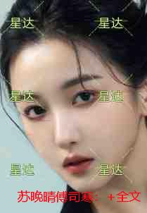苏晚晴傅司寒：+全文+后续