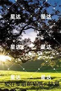 爱在黎明前坠落：结局+番外