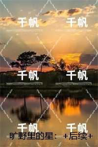 旷野里的星：+后续+结局
